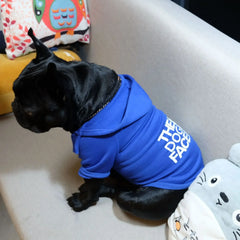 πΆπ§₯ Pet Dog Hoodie β Stylish & Cozy for Autumn & Winter